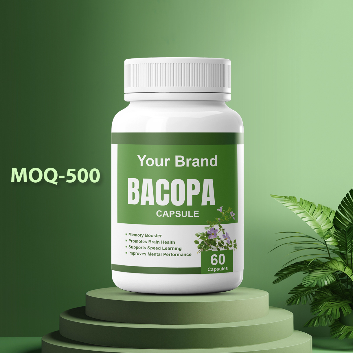 Bacopa Capsule manufacturers