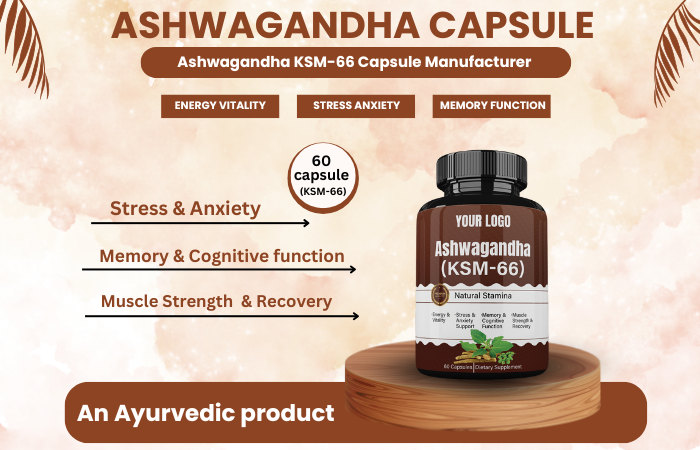 Ashwagandha KSM-66 Capsule Manufacturer – Boost Your Business with Premium Herbal Supplements